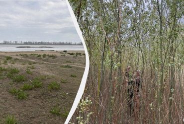 Лісові дива: який вигляд має Каховське водосховище через два роки після трагедії