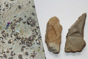 Таємничі кам'яні кола у Шотландії розкривають, як саме древні люди з'явилися у Європі