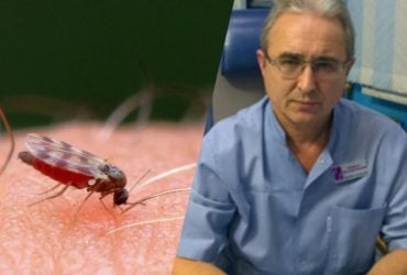 Лікар пояснив, чому укуси мошок дуже небезпечні