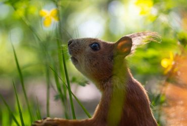 Спеки не буде: сьогодні температура в Києві знизиться на кілька градусів