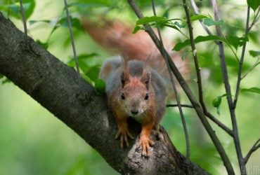 Вихідні не потішать українців теплом: синоптик засмутив прогнозом