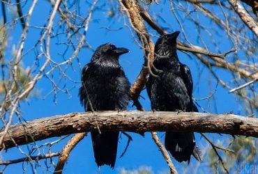 Днем до +13: синоптик сообщила, где в понедельник в Украине будет теплее всего