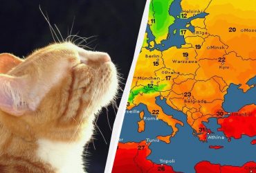 Синоптик назвала дату, когда Украина станет одной из самых теплых в Европе (карта)