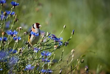 Укргидрометцентр сообщил, когда температура наконец повысится