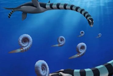 Ученые открыли морское чудовище, которое жило 85 миллионов лет назад