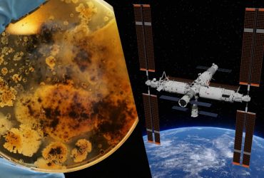 На борту космічної станції виявили стійку до радіації бактерію