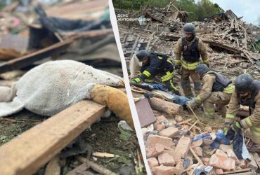 У Житомирській області внаслідок атаки РФ загинули троє дітей (фото)