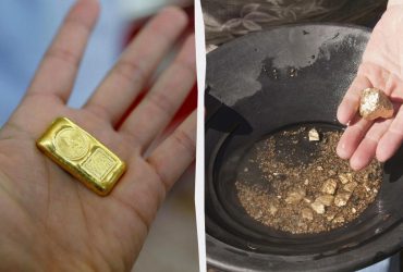 Фермер обнаружил месторождение золота стоимостью 4 миллиарда евро, но стался ни с чем