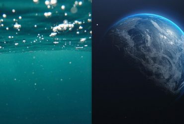 Ученый рассказал, как 445 миллионов лет назад были уничтожены 85% всех живых существ