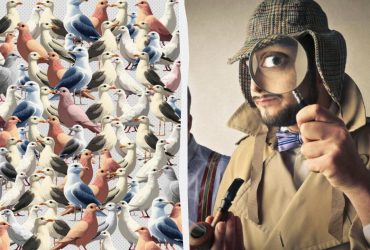 Дуже складний тест для перевірки рівня IQ: треба знайти горобця за 10 секунд