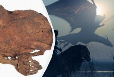 Учені розкрили таємницю стародавньої мумії дракона, яку знайшов японський військовий