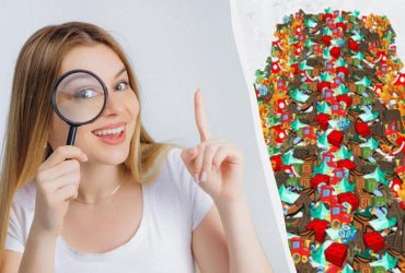 Не каждый найдет расческу в куче потерянных вещей за 8 секунд: удивительно сложная головоломка