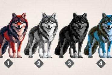 Психологический тест на внутреннюю усталость: когда вам нужно побыть одному