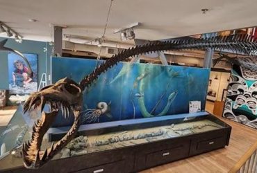 Чудовисько з минулого: вчені знайшли скам'янілі рештки морського гіганта