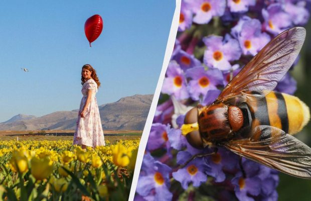 Что категорически запрещено делать супругам: запреты в праздник 3 мая 2025