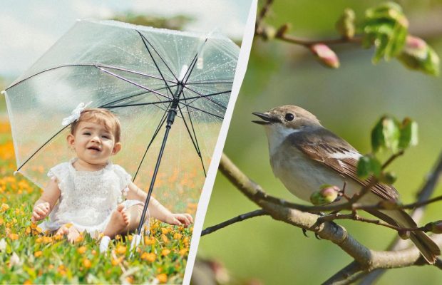 Какие три важных запрета нужно знать: интересные факты про праздник 6 мая 2025