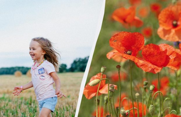 Украина отмечает большой праздник 9 мая - и это не День победы: что празднуем сегодня