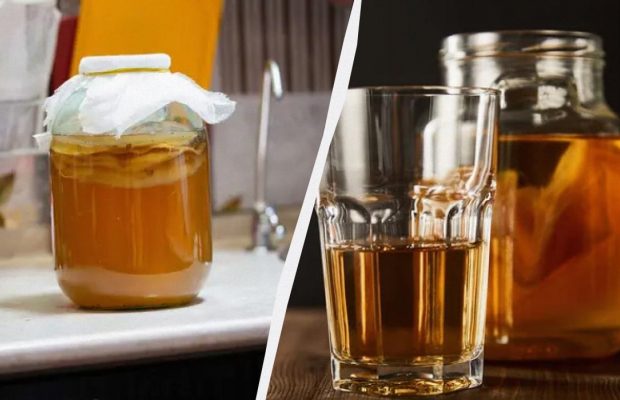 Чем полезен чайный гриб: приготовление, уход, как вырастить