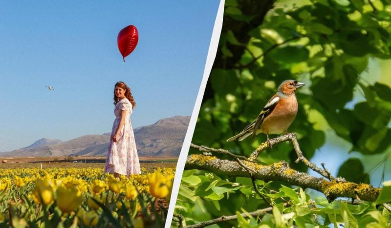 Что за праздник сегодня / коллаж УНИАН, фото pexels Что за праздник сегодня / коллаж УНИАН, фото pexels