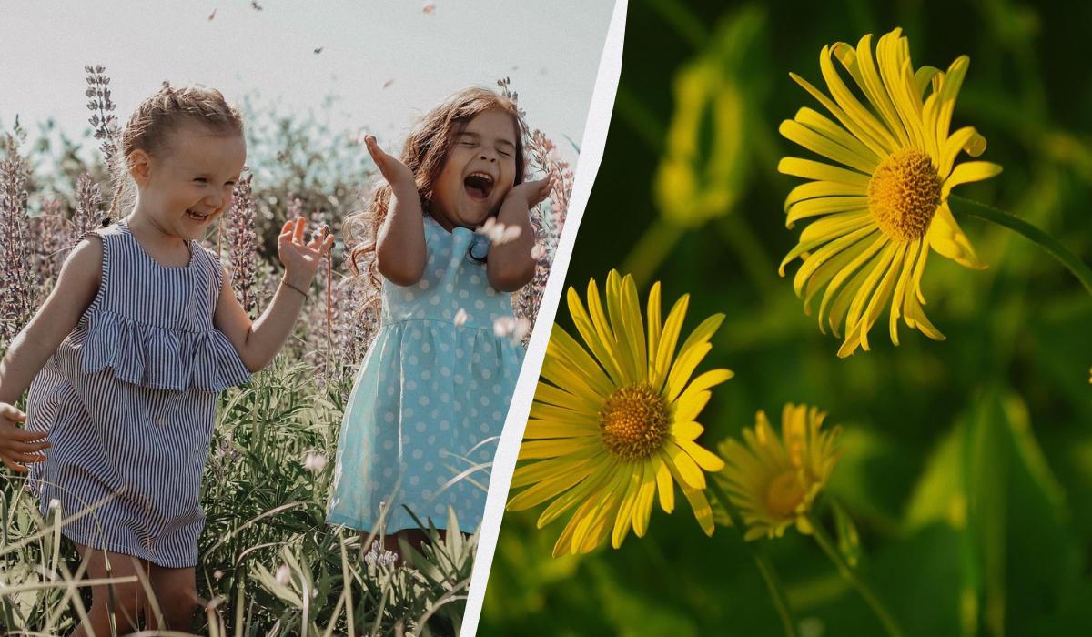 Что сегодня за праздник / коллаж УНИАН, фото pexels Что сегодня за праздник / коллаж УНИАН, фото pexels