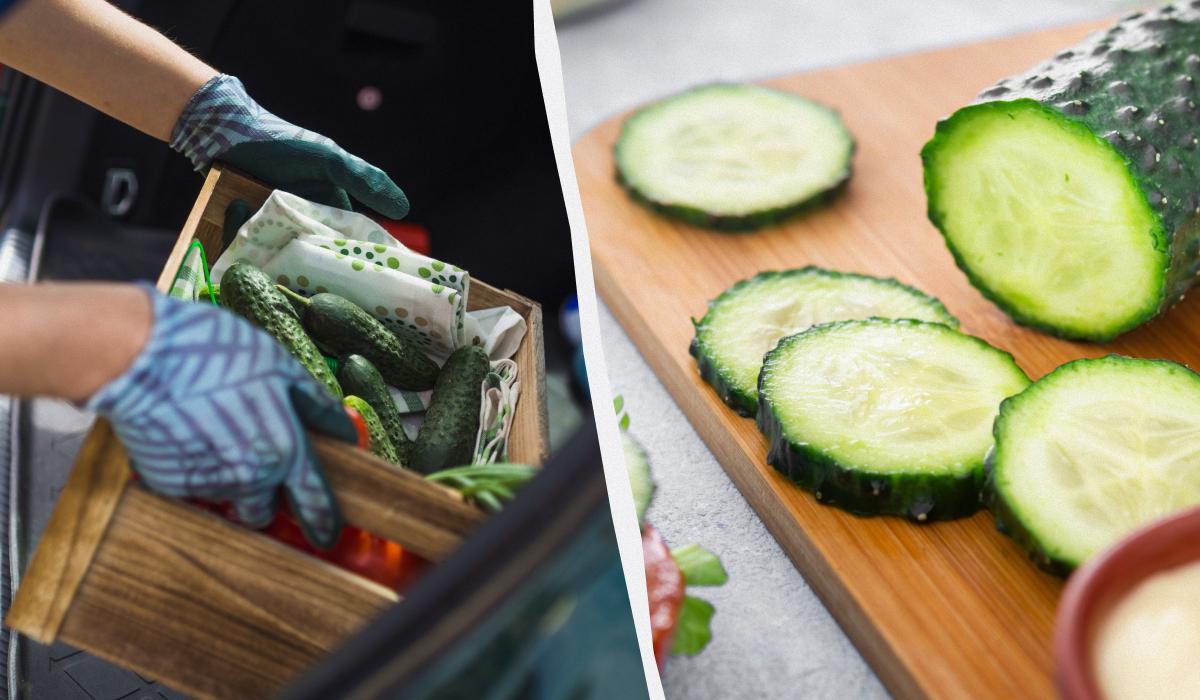 Як зберігати свіжі огірки, щоб довше залишалися свіжими / колаж УНІАН, фото freepik.com Як зберігати свіжі огірки, щоб довше залишалися свіжими / колаж УНІАН, фото freepik.com