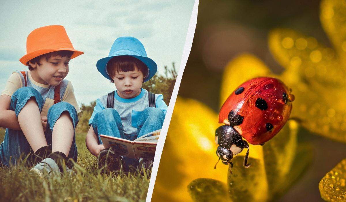 Какой сегодня праздник / коллаж УНИАН, фото pexels