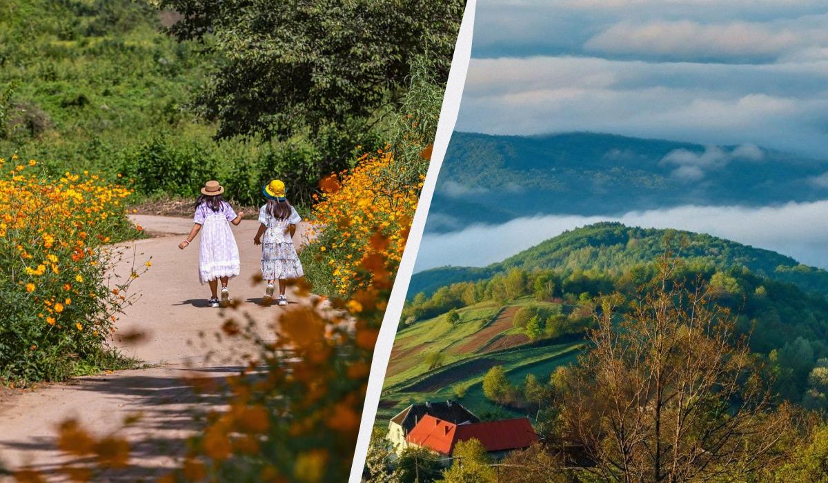Що сьогодні за свято / колаж УНІАН, фото pexels, УНІАН (Янош Немеш) Що сьогодні за свято / колаж УНІАН, фото pexels, УНІАН (Янош Немеш)