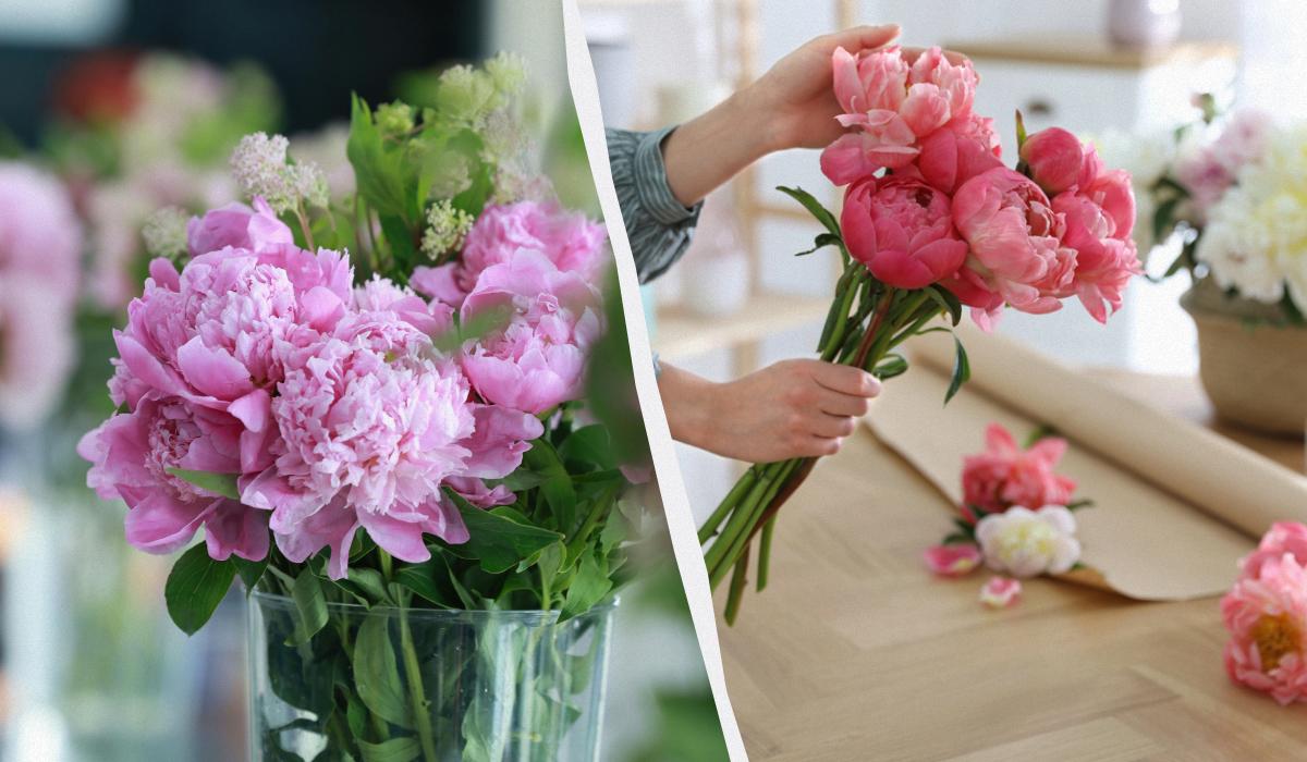 В какую воду ставить пионы, чтобы дольше стояли / коллаж УНИАН, фото pexels В какую воду ставить пионы, чтобы дольше стояли / коллаж УНИАН, фото pexels