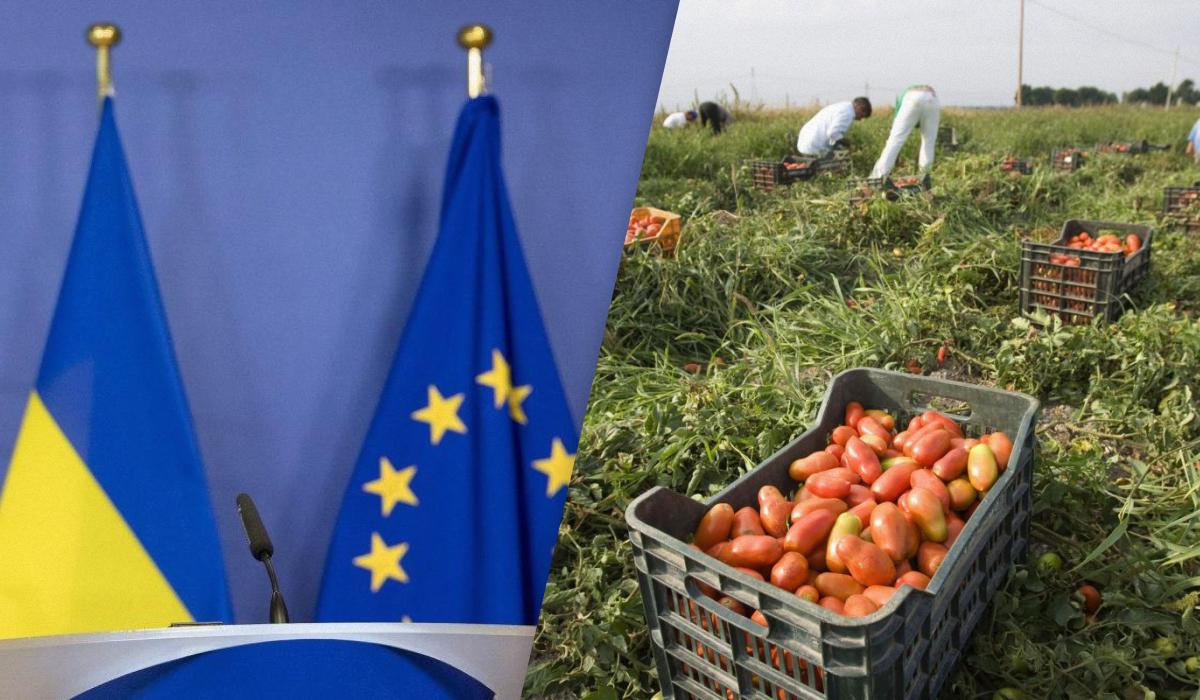 У 2022 році ЄС тимчасово скасував мита і квоти на деяку продукцію з України / Колаж УНІАН, фото - УНІАН/Анастасія Сироткіна, REUTERS У 2022 році ЄС тимчасово скасував мита і квоти на деяку продукцію з України / Колаж УНІАН, фото - УНІАН/Анастасія Сироткіна, REUTERS