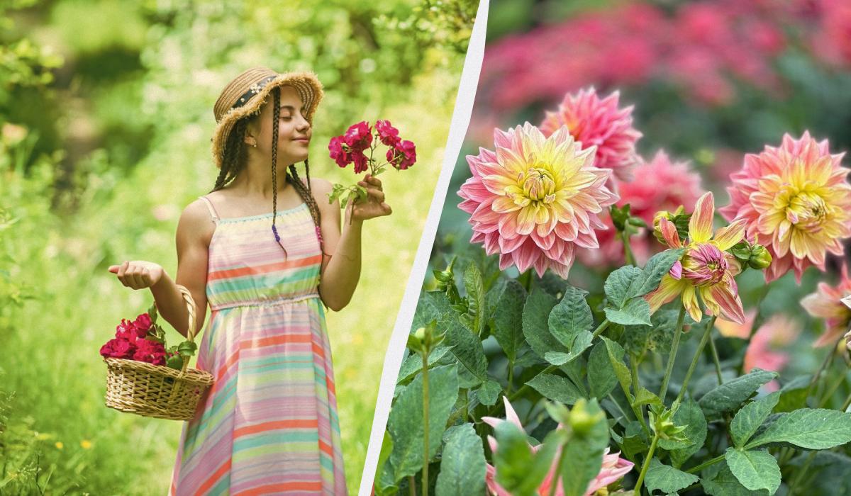 Що сьогодні за свято / колаж УНІАН, фото pexels Що сьогодні за свято / колаж УНІАН, фото pexels