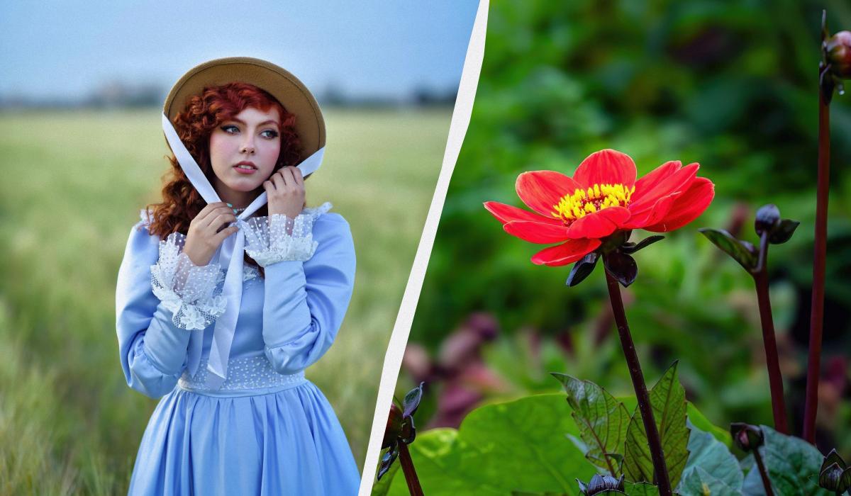 Що сьогодні за свято / колаж УНІАН, фото pexels Що сьогодні за свято / колаж УНІАН, фото pexels