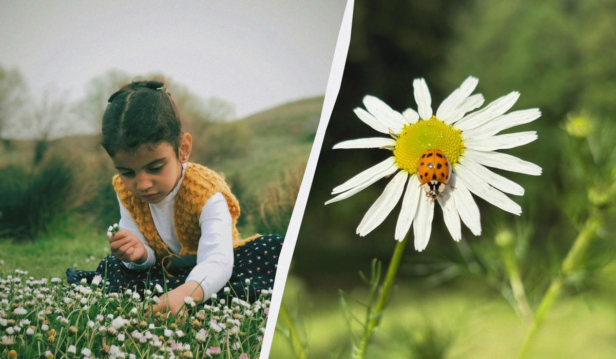 Що сьогодні за свято / колаж УНІАН, фото pexels Що сьогодні за свято / колаж УНІАН, фото pexels