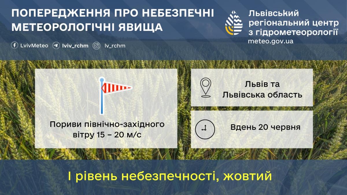 Во Львове ожидаются сильные порывы ветра / фото Львовский гидрометцентр Во Львове ожидаются сильные порывы ветра / фото Львовский гидрометцентр