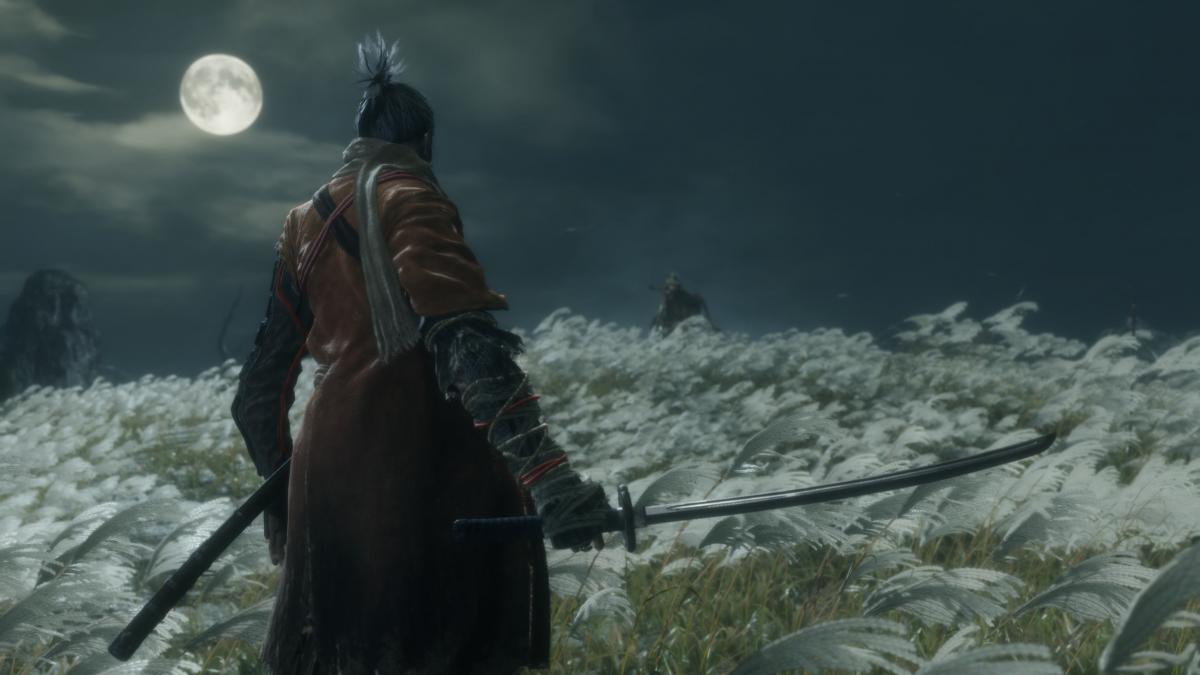 Лише 30% гравців у Sekiro перемогли Іссін, Майстер меча / Фото - FromSoftware