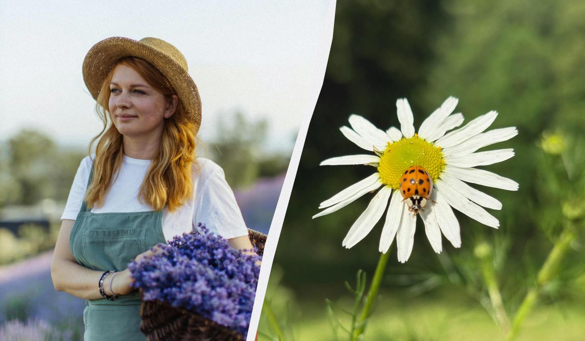 Що сьогодні за свято / колаж УНІАН, фото pexels Що сьогодні за свято / колаж УНІАН, фото pexels
