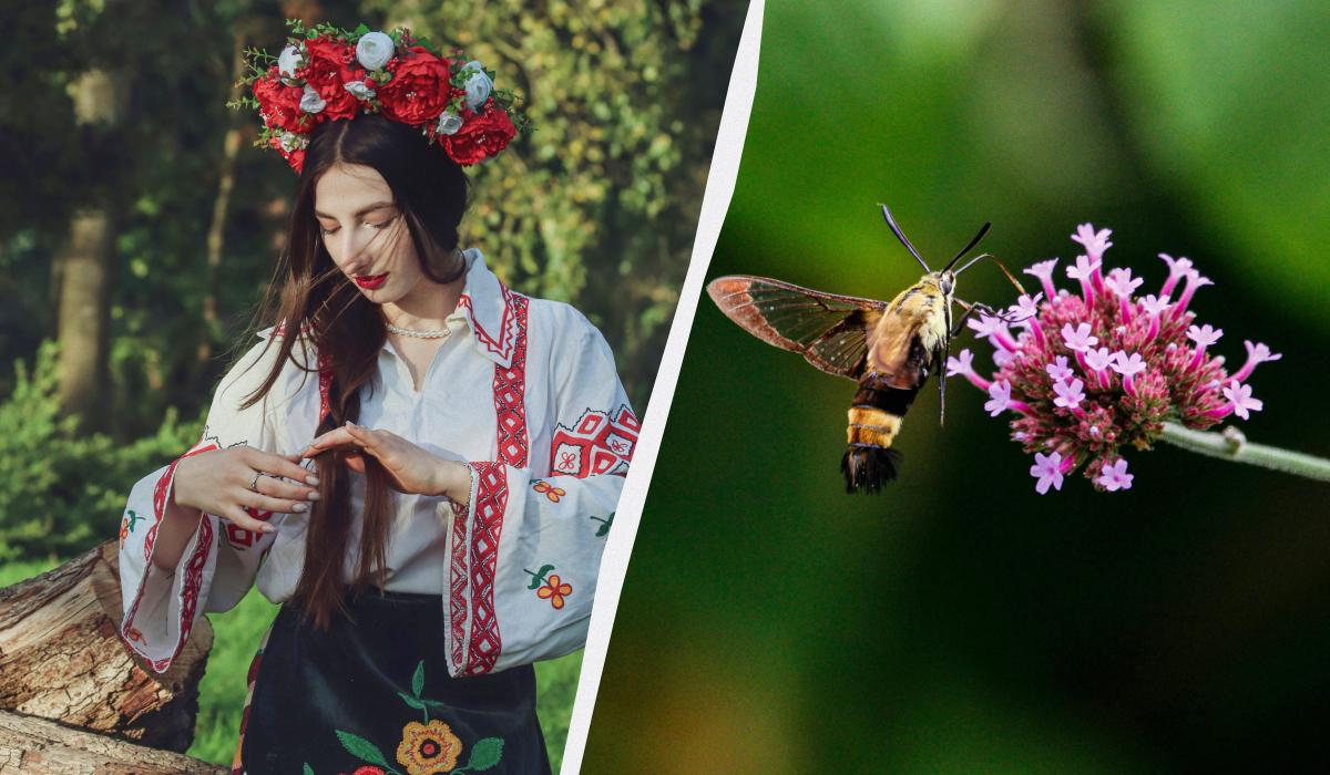 Что за праздник сегодня / коллаж УНИАН, фото pexels Что за праздник сегодня / коллаж УНИАН, фото pexels