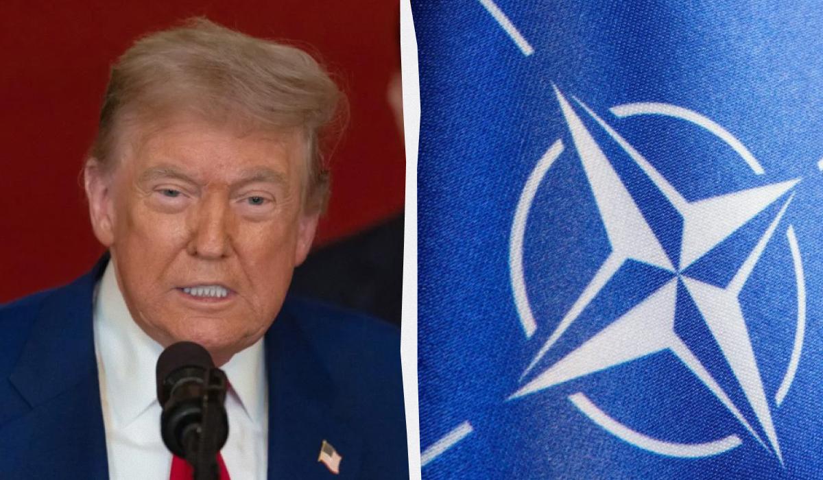 Саміт НАТО був організований так, щоб Трамп лишився задоволеним / колаж УНІАН, фото Getty Images, ua.depositphotos.com Саміт НАТО був організований так, щоб Трамп лишився задоволеним / колаж УНІАН, фото Getty Images, ua.depositphotos.com