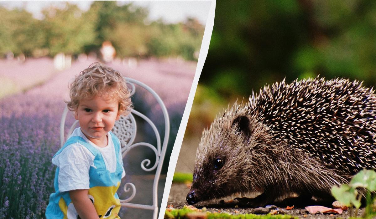 Что сегодня за праздник / коллаж УНИАН, фото pexels Что сегодня за праздник / коллаж УНИАН, фото pexels