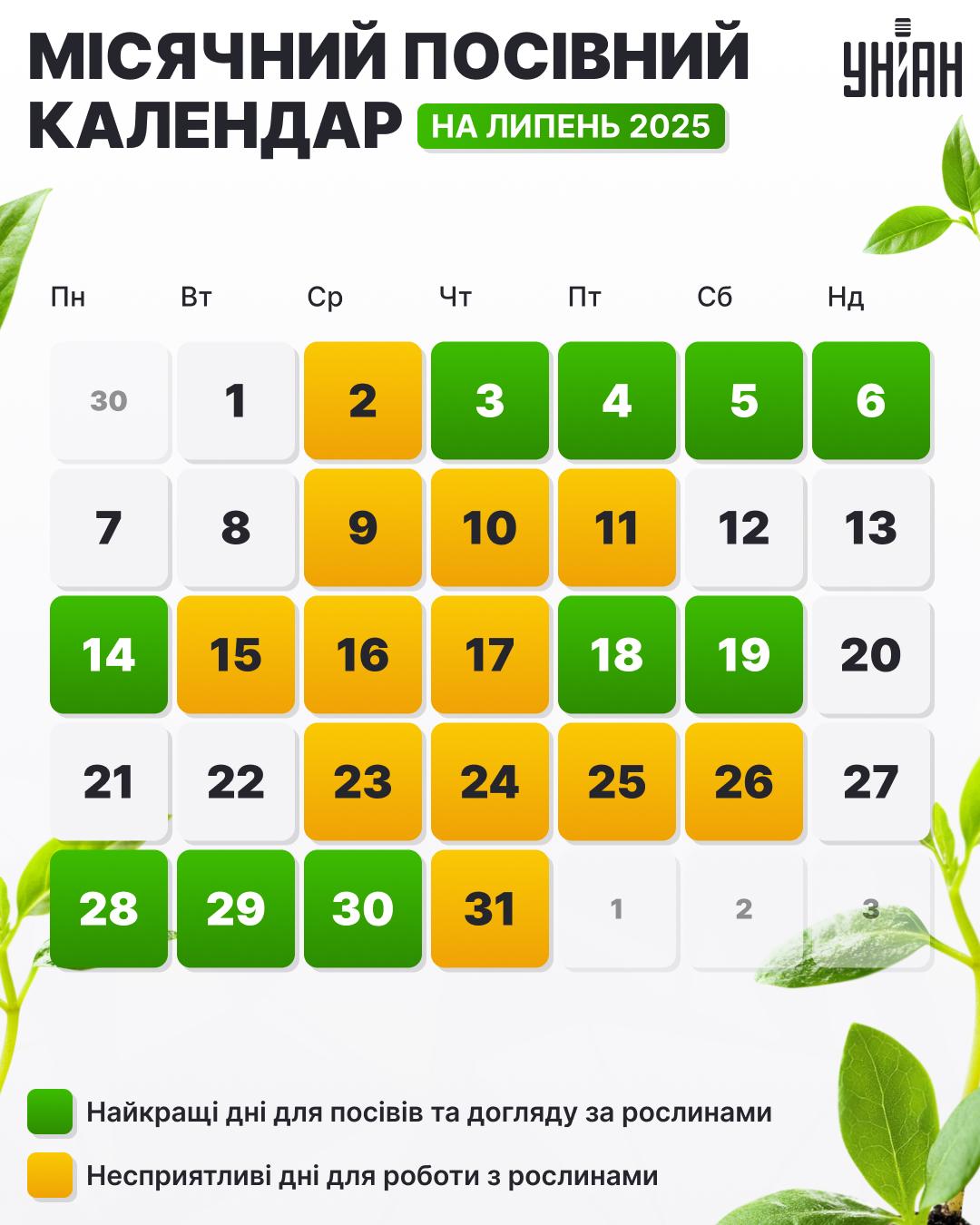Посівний календар на липень 2025 року таблиця / картинка УНІАН Посівний календар на липень 2025 року таблиця / картинка УНІАН