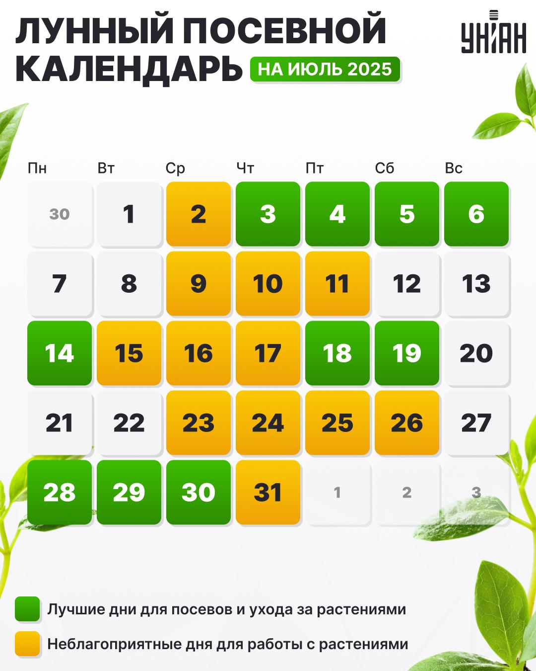 Посевной календарь на июль 2025 года таблица / картинка УНИАН Посевной календарь на июль 2025 года таблица / картинка УНИАН