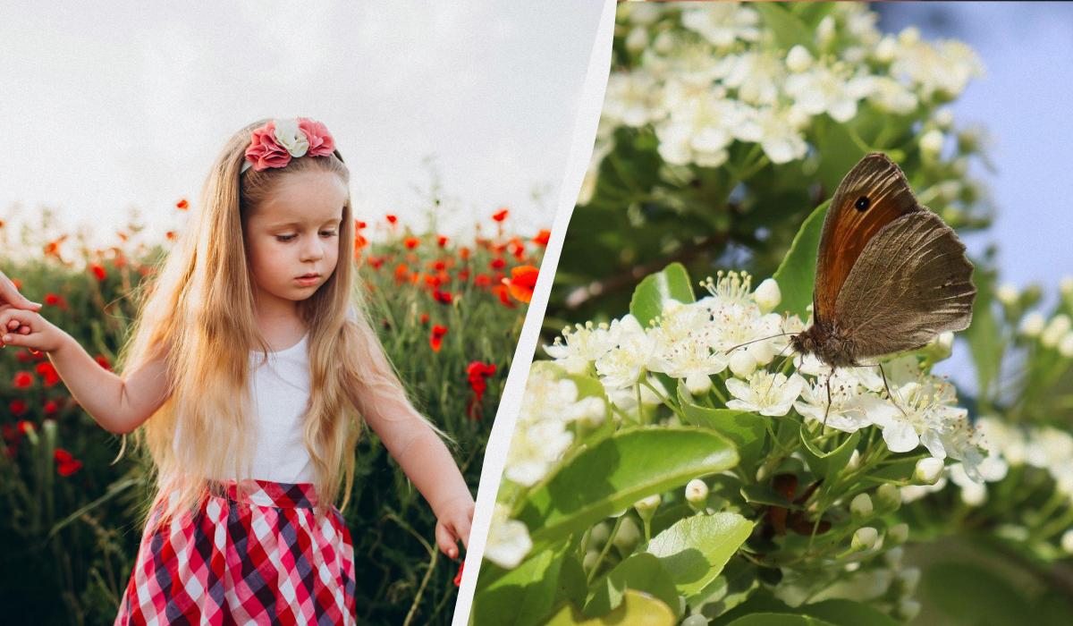 Що сьогодні за свято / колаж УНІАН, фото pexels Що сьогодні за свято / колаж УНІАН, фото pexels