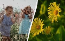 3 ритуала на счастье: что обязательно надо сделать в праздник 3 июня 2025