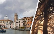 В центре Венеции 50-летнее дерево упало на туристов, есть серьезно пострадавшие