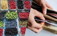 К осени цены на продукты в Украине вырастут: эксперт рассказала, что подорожает больше всего