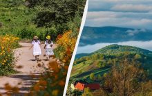 Что в большой праздник 5 июня нужно сделать православным: главный обычай дня