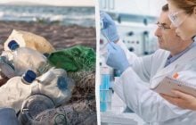 Ученые разработали пластик, который растворяется за считанные часы: как им это удалось
