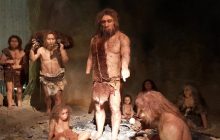 Человечество было почти уничтожено миллион лет назад: тогда выжило чуть больше 1000 особей