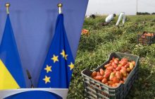 Украина и ЕС обсуждают новые условия экспорта сельскохозяйственной продукции, - Reuters
