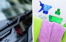 Чим очистити лобове скло від мошок і посліду: 2 надійні методи