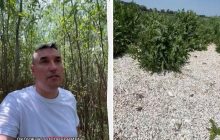 Дерева вище 6 метрів: у мережі показали, як виглядає дно Каховського водосховища (відео)